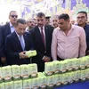 المنوفية 