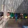 جانب من التلاميذ 