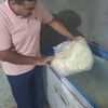 جانب من الضبطيات