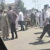 حادث المنوفية 