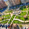 حظر قطع الأشجار نهائياً&hellip; محافظ بورسعيد يوجه بزيادة التشجير والمسطحات الخضراء بكافة مشروعات التطوير.