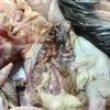 دجاج فاسد ببنى سويف 