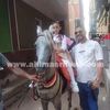 زفها على حصان.. أب يحتفل بأول يوم دراسي لابنته على طريقته الخاصة بكفر الشيخ