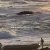 قارب هجرة غير شرعية بشواطئ مطروح