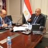 وزير الكهرباء