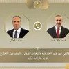 وزيرا خارجية مصر وتركيا