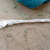 العمل الذي تم العثور عليه 