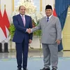  مصر إندونيسيا