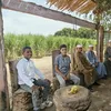 جانب من المقاعد 