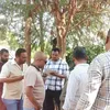 الفاعلية 