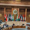 الجامعة العربية