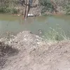 إزالة جذع النخلة 