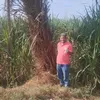 المضبوطات