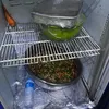 المضبوطات