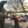 إحلال وتجديد الشبكات