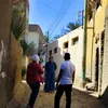 الفاعلية 