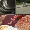 صورة من حادث وفاة عامل التجمع أسفل سيارة