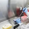 فيروس شاموندا