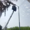 جانب من الاستجابة 