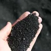  الرمال السوداء 