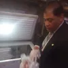 المضبوطات