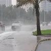 أمطار رعدية وسيول - صورة أرشيفية