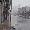 الأمطار في الإسكندرية