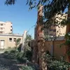 التقليم الجائر