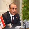 الدكتور بدر عبد العاطي وزير الخارجية