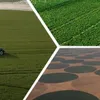 الزراعة في مصر 