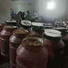 الزيتون المضبوط