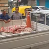 المنوفية 