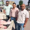 المنوفية 