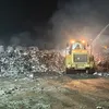 المنوفية 