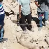 الواقعة 