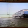 باخرة بنى سويف 
