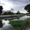 ترعه أرشيفية