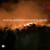 جانب من الحريق 