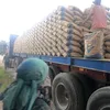 جانب من الحملة 