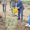 جانب من المبادرة