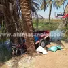 حادث تروسيكل