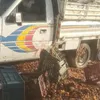 حادث سيوة