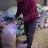 حملات التموين ببنى سويف 