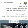 رصاصة فى المخ