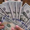 سعر الدولار
