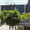 صحة المنوفية 