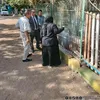 صور الحيوانات