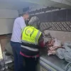 ضبط نصف طن لحوم ومصنعات مجهولة المصدر وغير صالحة للاستهلاك داخل احدى المخازن ببورسعيد 