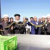 محافظ مطروح يطلق فعاليات مهرجان الزيتون الدولي 