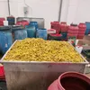 مخللات مجهولة المصدر ببنى سويف 